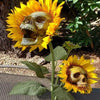A skull sunflower garden decoration stake with a weathered skull face and bright yellow petals.