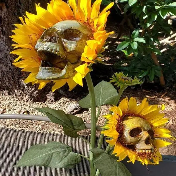 A skull sunflower garden decoration stake with a weathered skull face and bright yellow petals.