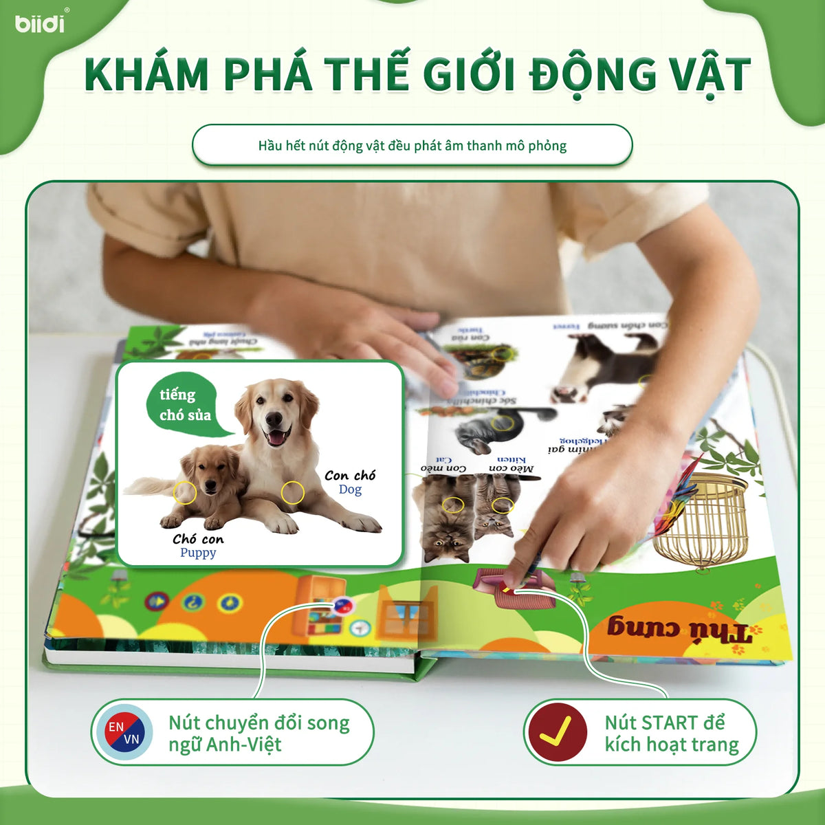 A child interacts with a bilingual talking book featuring animal sounds and pictures.