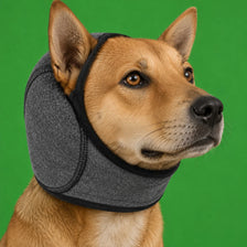 A brown dog wearing a gray calming head cover, looking to the right against a green background.