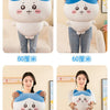 A set of Chiikawa Hachiware and Usagi plush dolls in various sizes, displayed against a light background.