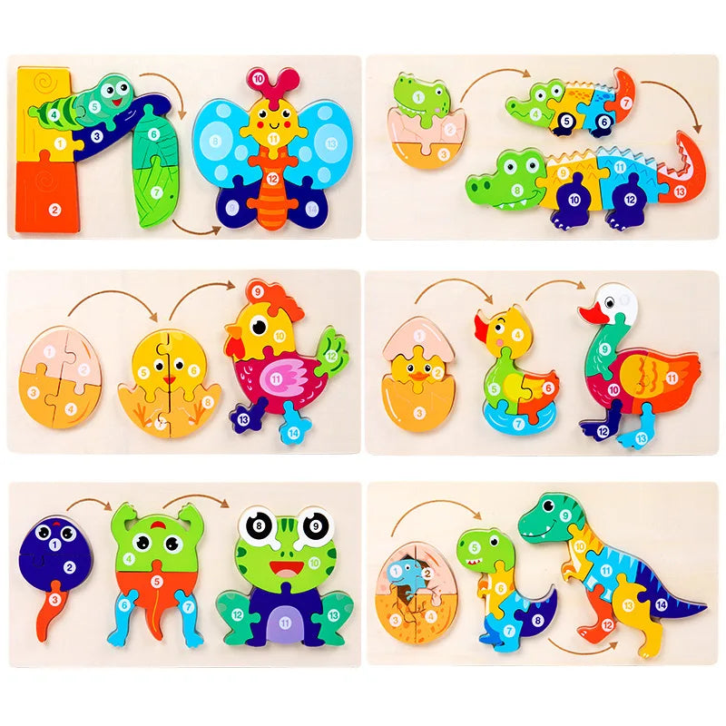 A set of wooden puzzles depicting various life cycle stages of insects and animals for toddlers.