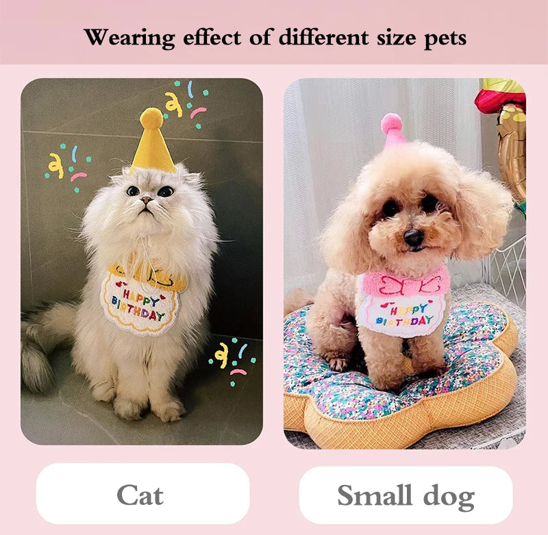 Pet Birthday Hat and Bib Celebration Set