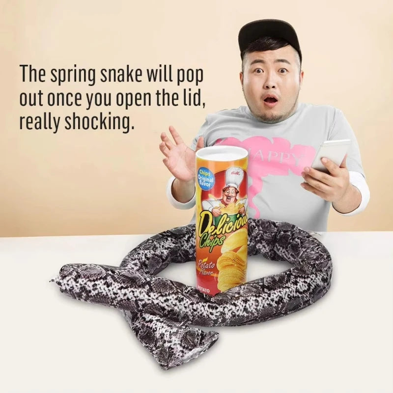 Surprise Prank Snake in a Potato Chip Can