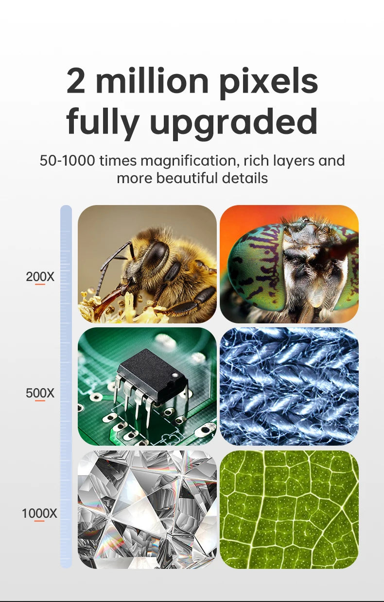 A display showing various magnified images, including a bee, a leaf, and microscopic structures, demonstrating high-resolutio