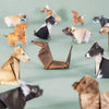 DIY Origami Animal Craft Kit – 50 Foldable Paper Figures
