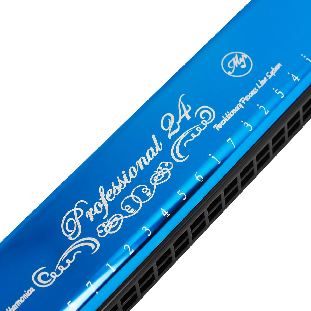 Blue 24-hole C tone tremolo harmonica with a black hard case