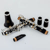 Professional Bb Clarinet with Case