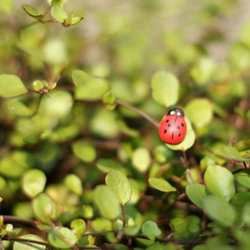 Self-Adhesive Wooden Ladybug Magnets for DIY Craft Projects