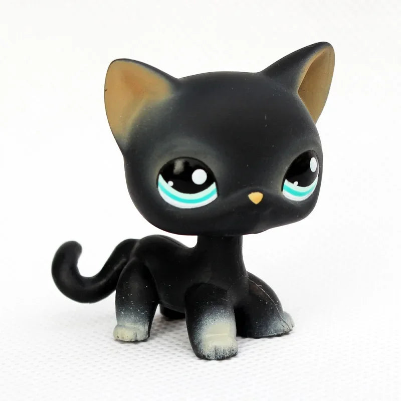 Schwarze Sammler-Katzenfigur mit hellblauen Augen und braunen Ohren.