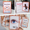 A collection of orange and white flashcards featuring body parts like forehead, hair, and eye, used for themed learning.