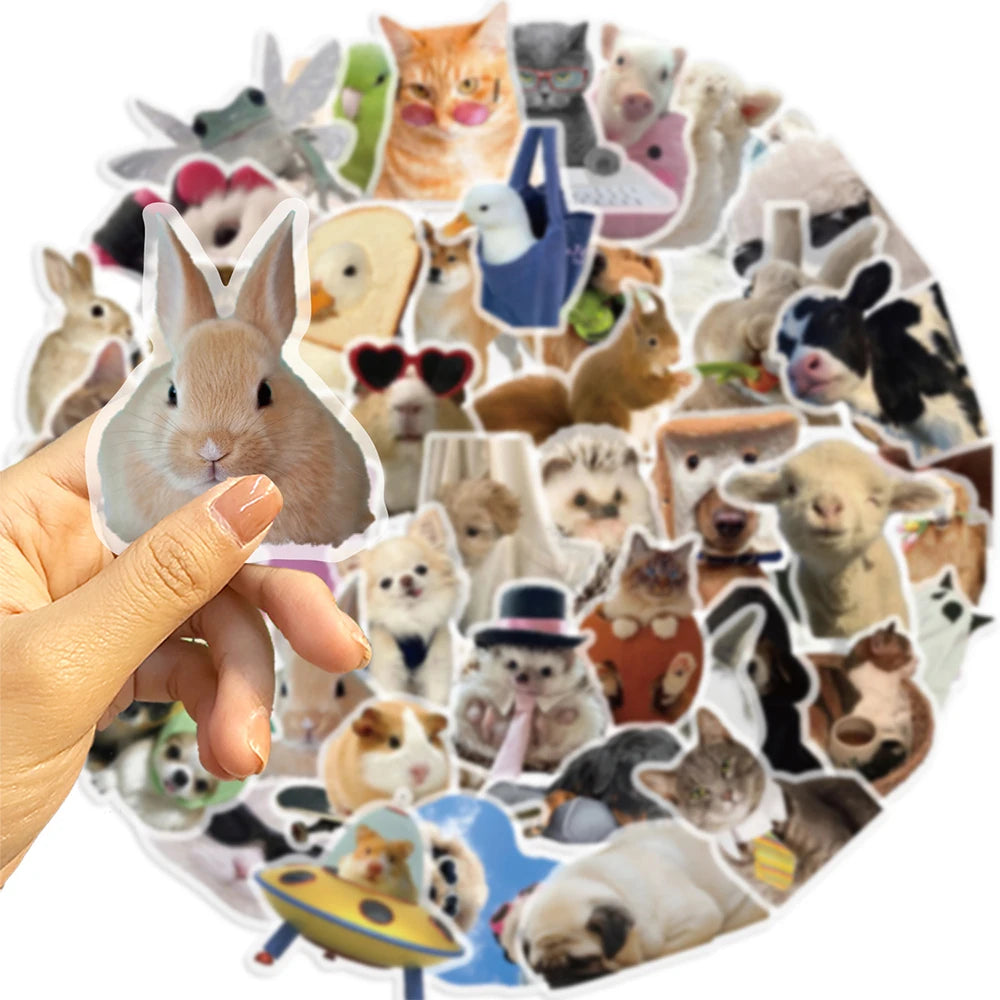 A collection of funny cat and dog meme stickers featuring various animals in a circular arrangement.