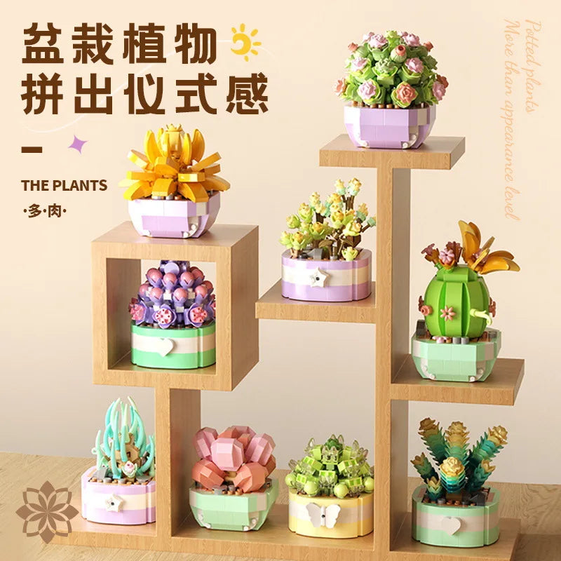 A wooden display shelf holds various miniature potted flowers and plants in colorful ceramic pots.