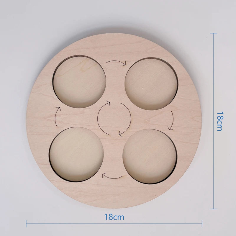 A wooden learning set with five circular cutouts for an animal and plant life cycle activity.