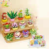 A wooden display shelf holds various colorful succulent and flower building blocks for desktop decoration.