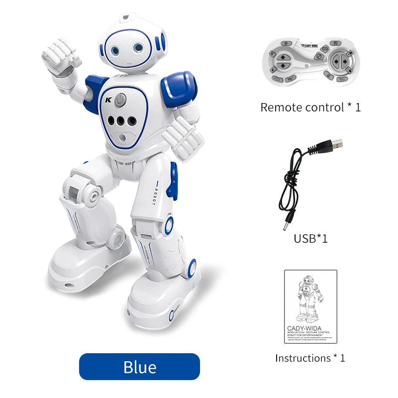 Interactive Dancing Robot with Remote Control and Gesture Sensing