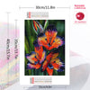 A diamond painting kit featuring a vibrant orange and purple lily flower on a square card.