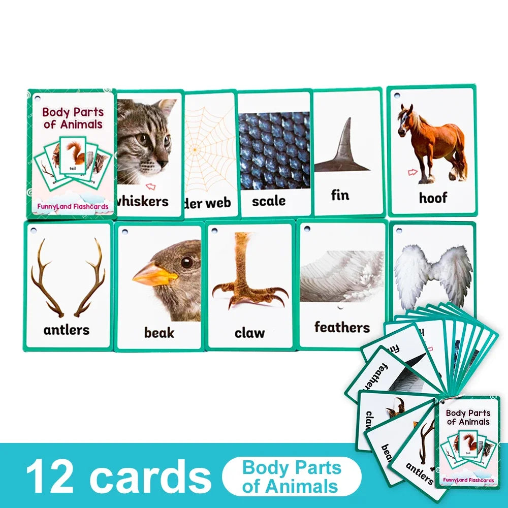 A set of 12 green flashcards showing body parts of animals like whiskers, scales, fins, hooves, antlers, and feathers.