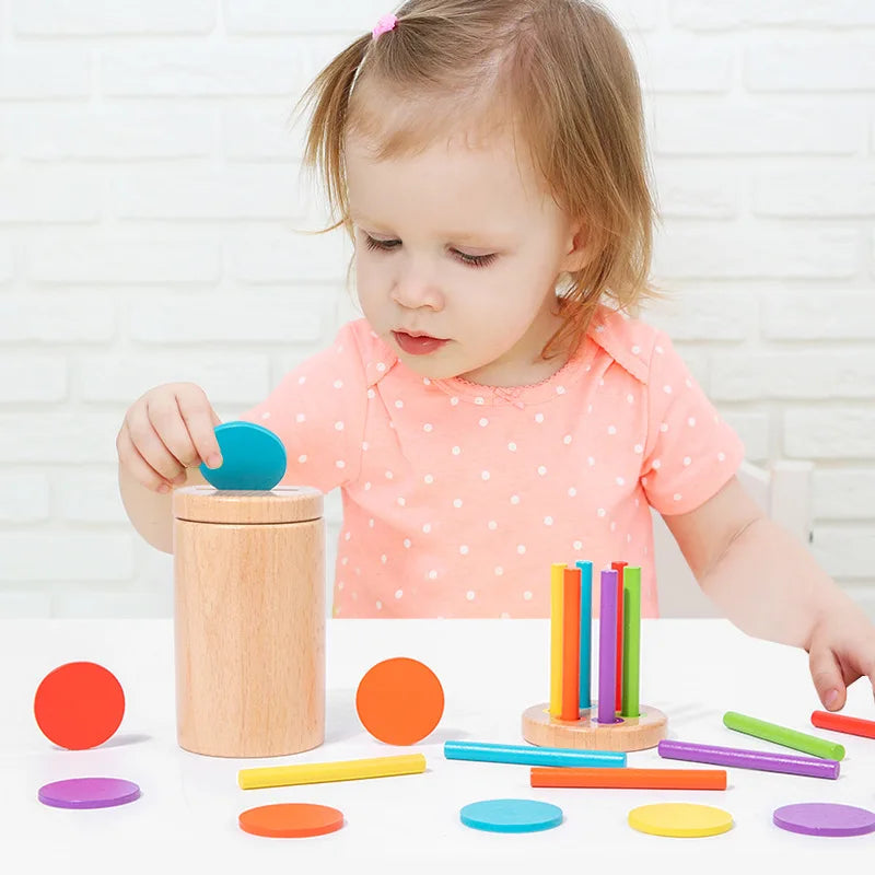 Wooden Montessori Color Sorting & Shape Matching Toy