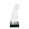 Illuminated Acrylic Guitar Pick Display Stand