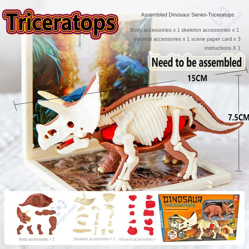 Assembled Triceratops dinosaur skeleton model kit with accessories and instructions