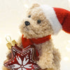 A fluffy teddy bear wearing a red Santa hat and holding a star-shaped ornament.