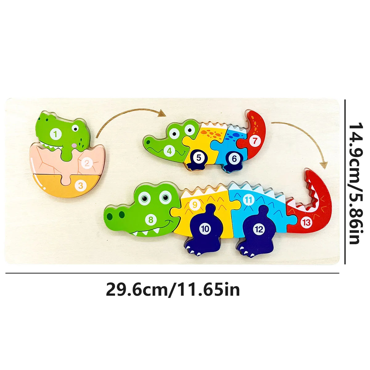 A wooden puzzle of a cartoon dinosaur showing various parts numbered 1 through 13, demonstrating growth and change.