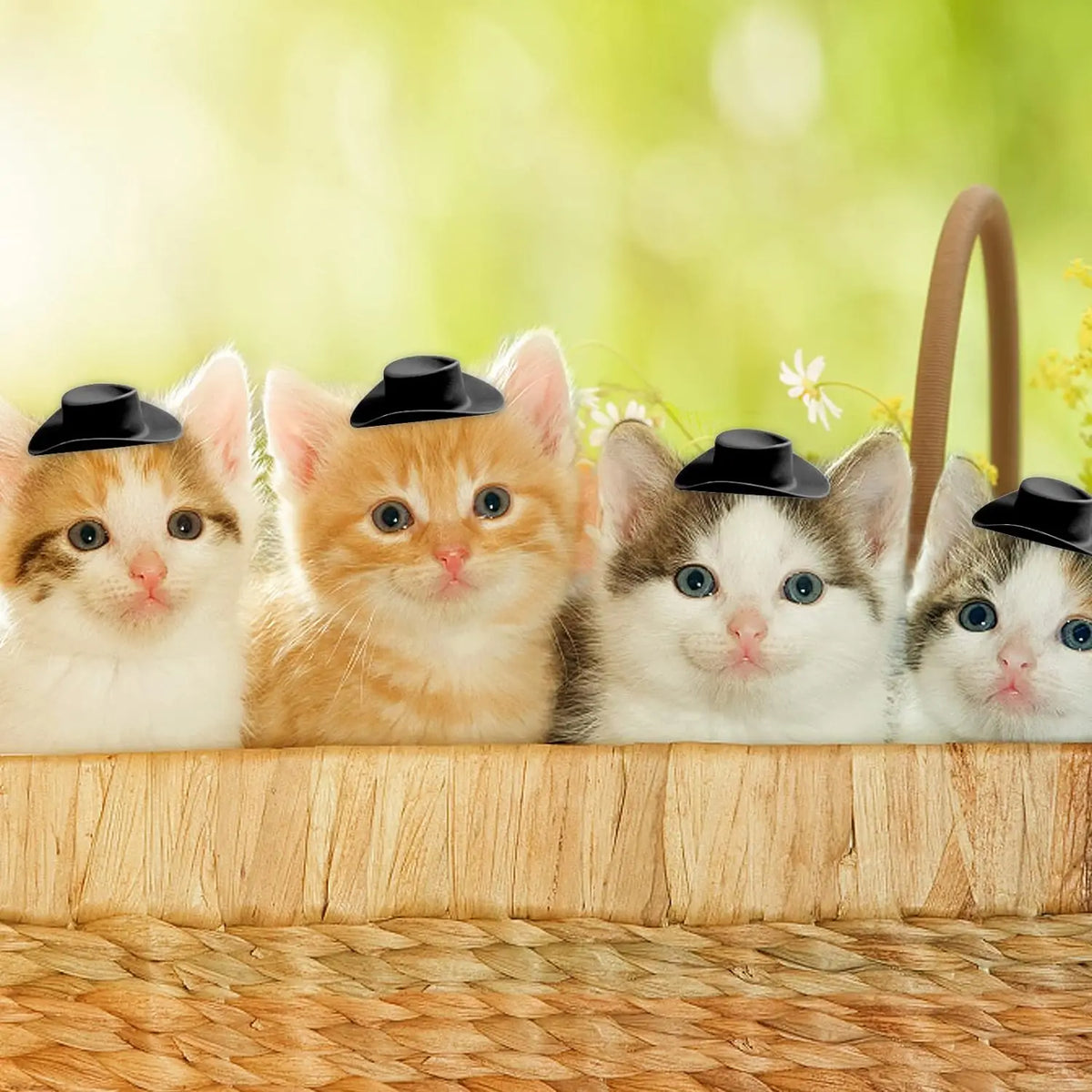 Mini Plastic Cowboy Hats for Party Favors and Cake Toppers