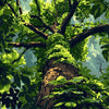 A close-up view of a large tree trunk covered in vibrant green moss and surrounded by lush foliage.