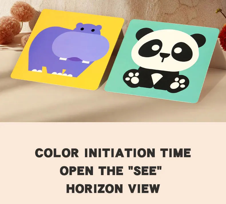 High-Contrast Baby Flash Cards for Visual Development