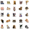 Kawaii Cat & Dog Meme Sticker Pack – Funny Decals for Laptops, Skateboards & Scrapbooks