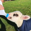 Hangable Lamb Nursing Bottle with Soft Nipple for Goat, Calf, and Cattle