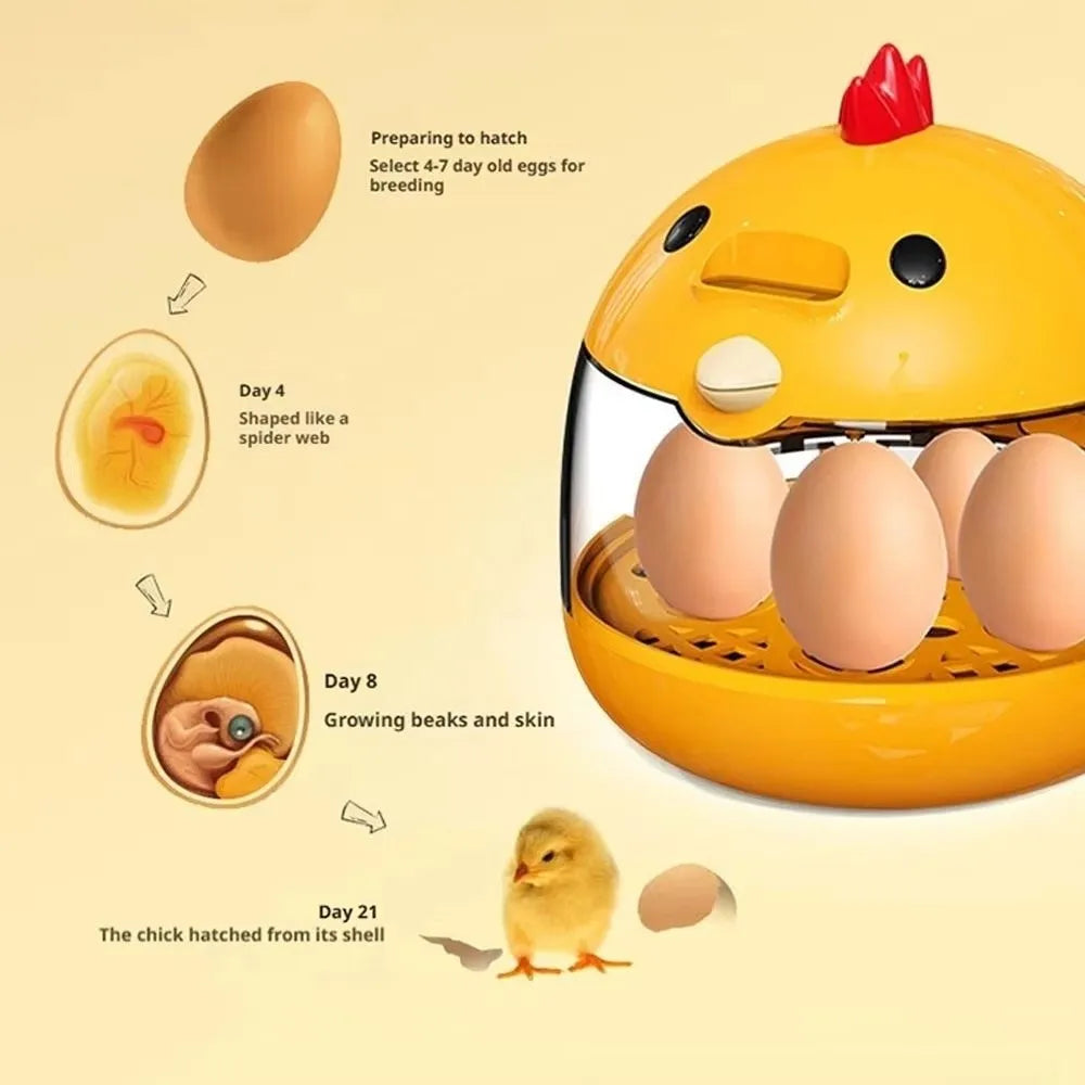 A yellow automatic egg incubator showing various stages of development from eggs to a hatched chick.
