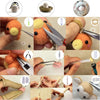 Colorful Needle Felting Starter Kit with Wool Roving and Tools