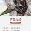 Realistic Dinosaur Figurine Collection for Imaginative Play
