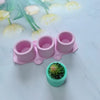 Pink silicone molds for succulent plant pots with a small green succulent plant inside