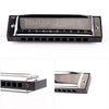10-Hole Diatonic Blues Harmonica in C with Protective Case