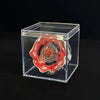 Beyblade X CX-00 Valkyrie Volt S4-70V Spinning Top Toy