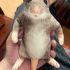A gray and white lifelike skeleton plush toy resembling a small rodent is held in a person's hand.