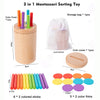 Wooden Montessori Color Sorting & Shape Matching Toy