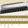 10-Hole Diatonic Blues Harmonica in C with Protective Case