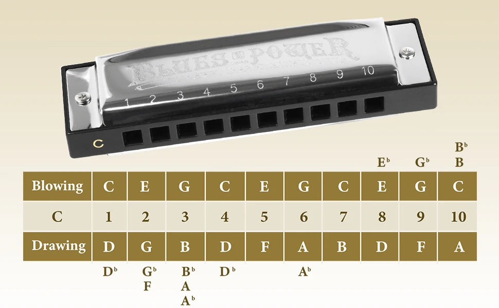 10-Hole Diatonic Blues Harmonica in C with Protective Case