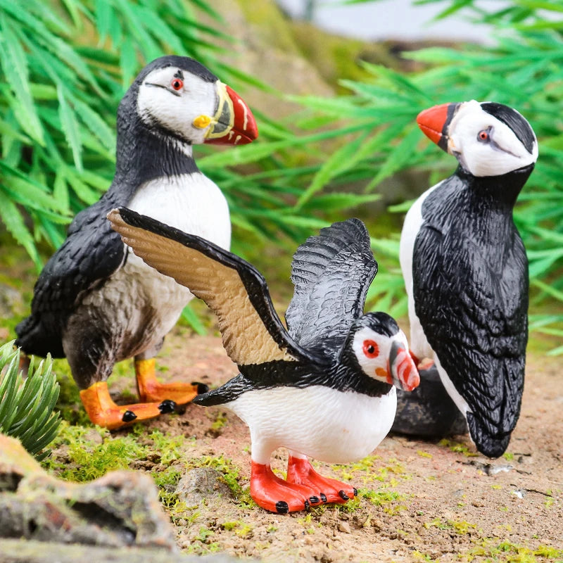 Realistic Bird Figurine Set – Educational PVC Models for Kids and Collectors