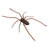 Realistic Spider Fridge Magnet – Fun Prank Decor
