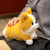 A fluffy orange and white Corgi plush toy being held by a person.