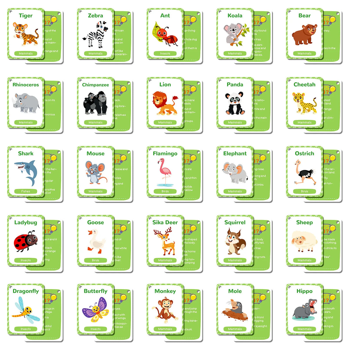 Animal Cognition Flash Cards for Early Learning