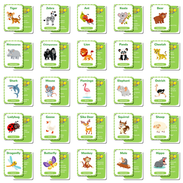 Animal Cognition Flash Cards for Early Learning