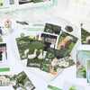 A variety pack of 50 nature and seasonal scenery stickers featuring various plants, animals, and landscapes.