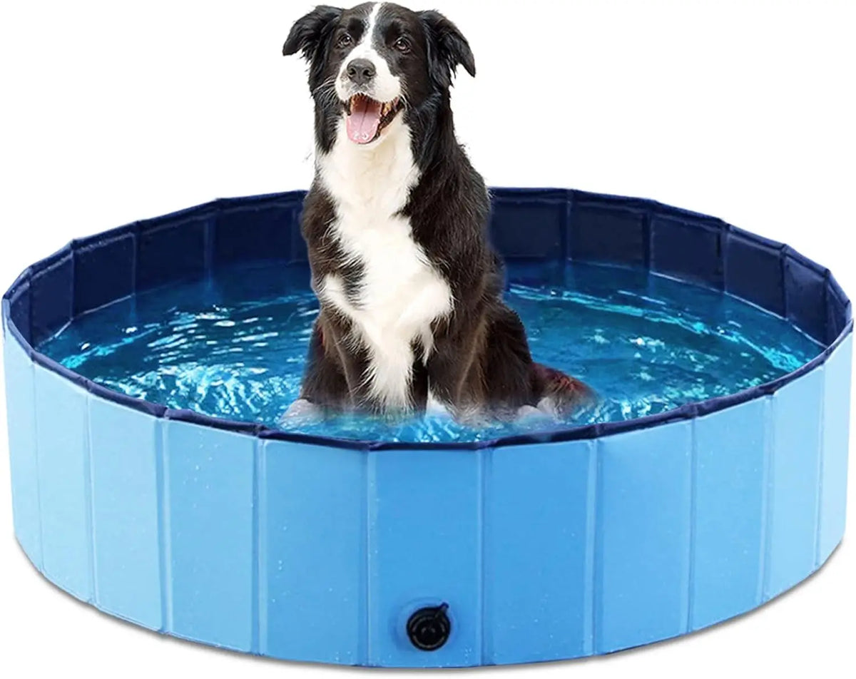A black and white dog is sitting in a blue foldable pet bath tub with a quick-drain design.