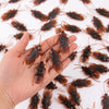 A hand holds numerous lifelike fake cockroaches for props and Halloween
